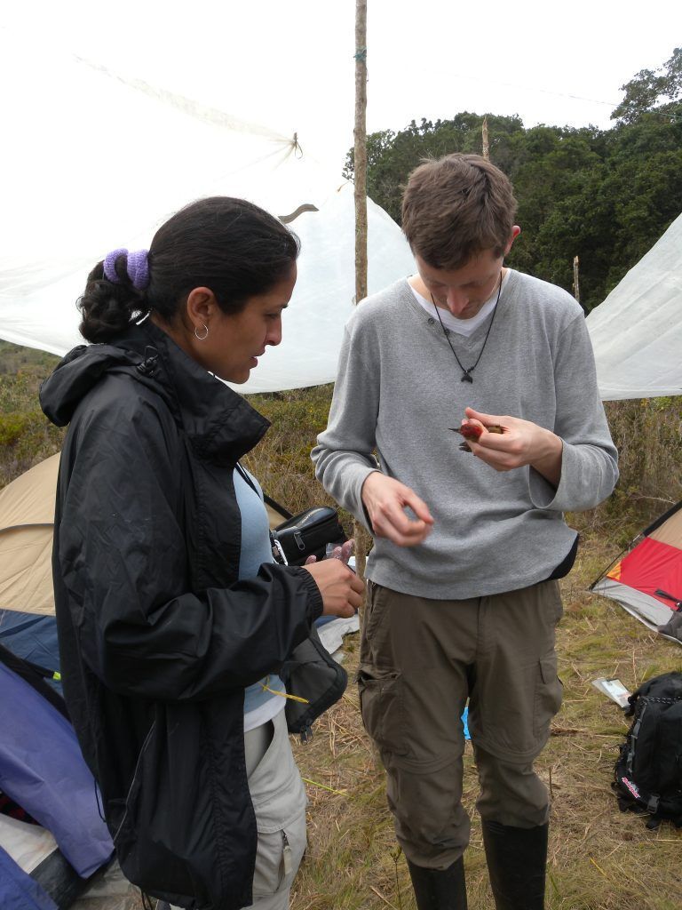 Discovering Colombia: Butterflies and Birds of the World’s Most Biodiverse Country