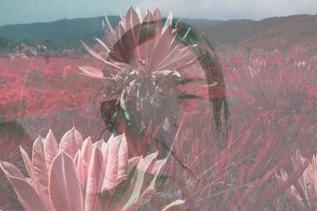 Latin American Women Photographers and the Art Market